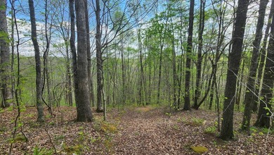 Discover your private escape on 10.94 +/- wooded acres close to - photo 14