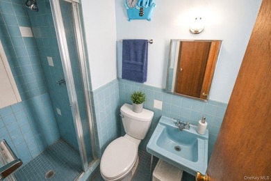 Exceptional Legal 2-Family Home in Bayswater, Far Rockaway** - photo 15