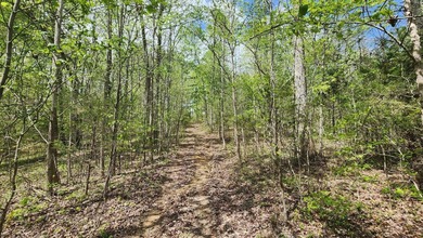 Discover your private escape on 10.94 +/- wooded acres close to - photo 15