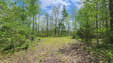 Discover your private escape on 10.94 +/- wooded acres close to - photo 17