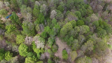 Discover your private escape on 10.94 +/- wooded acres close to - photo 18