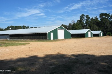 Discover the ultimate poultry farming opportunity with this - photo 19