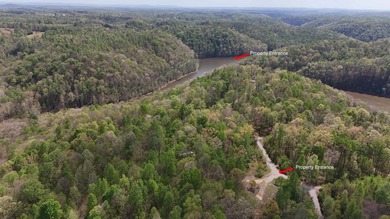 Discover your private escape on 10.94 +/- wooded acres close to - photo 20