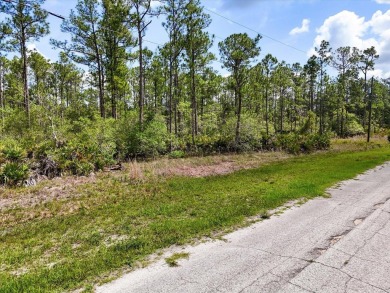 Lake Weohyakapka Lot For Sale in Lake Wales Florida