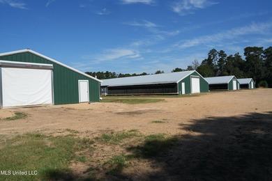 Discover the ultimate poultry farming opportunity with this - photo 24