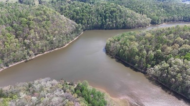 Discover your private escape on 10.94 +/- wooded acres close to - photo 24