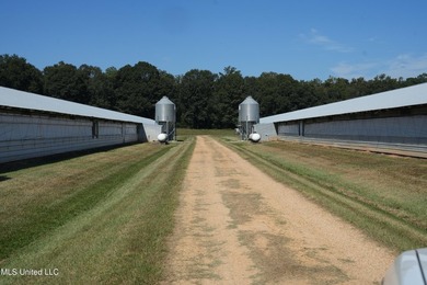 Discover the ultimate poultry farming opportunity with this - photo 26