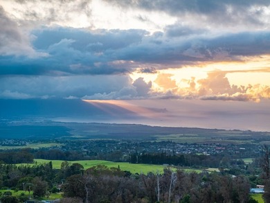 Spacious, private, and full of character, 25 Lumahai Place, just - photo 50