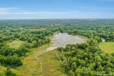 (private lake, pond, creek) Lot For Sale in Manchester Michigan