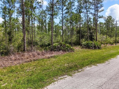 Lake Weohyakapka Lot For Sale in Lake Wales Florida