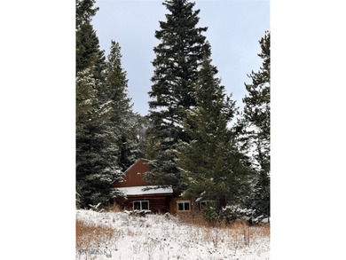 Gallatin River Home For Sale in Gallatin Gateway Montana
