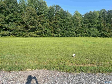 Lake Lot For Sale in Cedar Bluff, Alabama