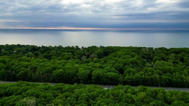 Rare opportunity to build your own legacy property on 49.9 acres - photo 11