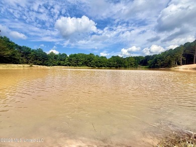 Custom waterfront new construction on 5.5+/- acres! This - photo 11