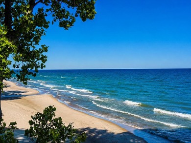 Rare opportunity to build your own legacy property on 49.9 acres - photo 14