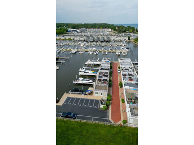 Rare opportunity to build your own legacy property on 49.9 acres - photo 19