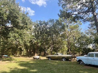 Walking distance to Grady Brown Waterfront Park and Boat Launch! - photo 5
