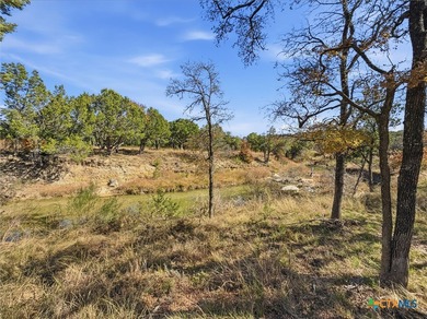 Lake Acreage For Sale in Evant, Texas