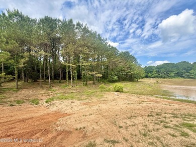 Custom waterfront new construction on 5.5+/- acres! This - photo 45