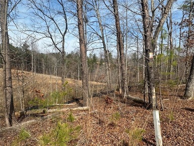 276' of Lake Keowee Shoreline, 2 acres & Endless Potential! - photo 8
