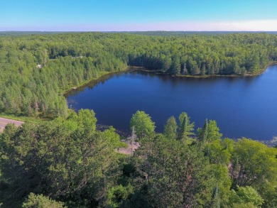Enjoy seclusion and Privacy on crystal clear deep water LITTLE - Lake Acreage Sale Pending in Presque  Isle, Wisconsin