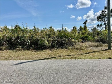 South Gulf Cove is a quiet residential community located in Port - photo 2