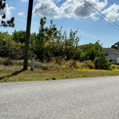 South Gulf Cove is a quiet residential community located in Port - photo 4
