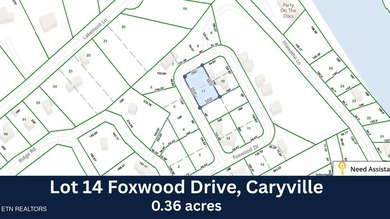 BEAUTIFUL MOUNTAIN & LAKE LOT. JUST 5 MINUTES FROM I-75 & TWIN - photo 4