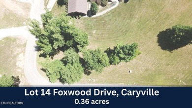BEAUTIFUL MOUNTAIN & LAKE LOT. JUST 5 MINUTES FROM I-75 & TWIN - photo 5