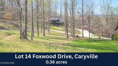 BEAUTIFUL MOUNTAIN & LAKE LOT. JUST 5 MINUTES FROM I-75 & TWIN - photo 6