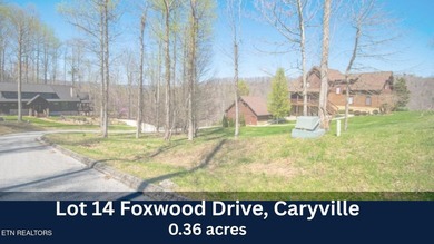 BEAUTIFUL MOUNTAIN & LAKE LOT. JUST 5 MINUTES FROM I-75 & TWIN - photo 7