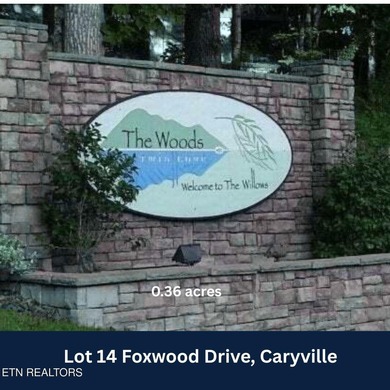 BEAUTIFUL MOUNTAIN & LAKE LOT. JUST 5 MINUTES FROM I-75 & TWIN - photo 10