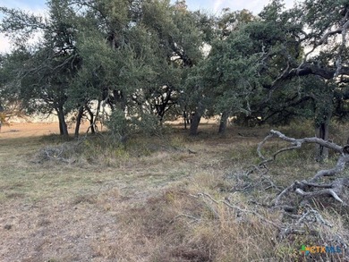 The property consists primarily of open pasture with scattered - photo 4
