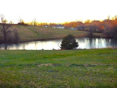 (private lake, pond, coastal) Acreage For Sale in Wytheville Virginia