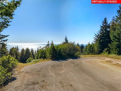 5.63 acres sits high above the Pacific in Cannon Beach and is - photo 17