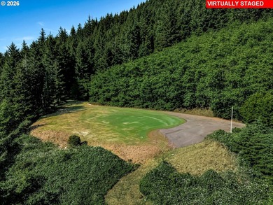 5.63 acres sits high above the Pacific in Cannon Beach and is - photo 26