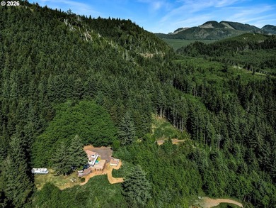 5.63 acres sits high above the Pacific in Cannon Beach and is - photo 29