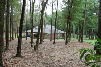 (private lake, pond, coastal) Home For Sale in Fairhope Alabama