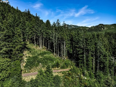 5.63 acres sits high above the Pacific in Cannon Beach and is - photo 33
