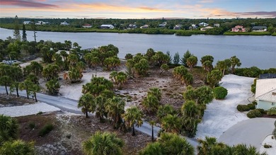 This is the rare blank canvas--a true Gulf-to-Bay homesite - photo 4