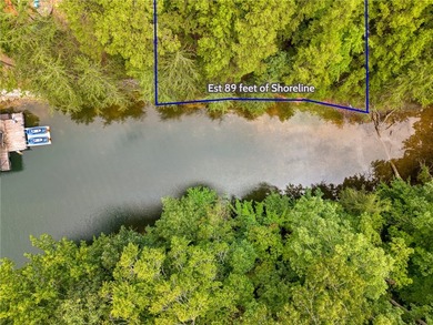 Beautiful 0.78-acre waterfront lot on Lake Keowee. With an - photo 5