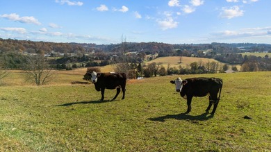 Welcome to your private East Tennessee retreat-a 3,000 sq. ft - photo 35