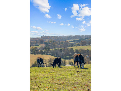 Welcome to your private East Tennessee retreat-a 3,000 sq. ft - photo 36