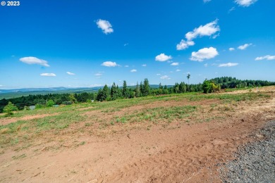 Lake Acreage For Sale in Castlerock, Washington