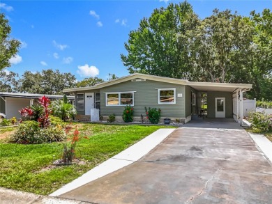 Lake Home For Sale in Tavares, Florida