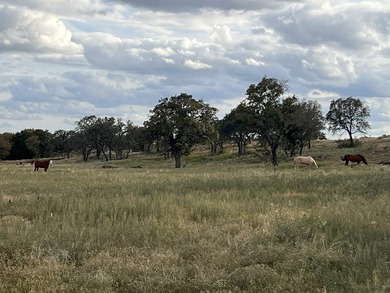 PRICE DROP Corona Falls Ranch | Voca, TX | 320 Acres | $4,800 - photo 3
