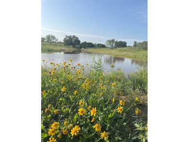 PRICE DROP Corona Falls Ranch | Voca, TX | 320 Acres | $4,800 - photo 10