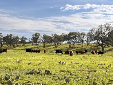 (private lake, pond, creek) Acreage For Sale in Voca Texas