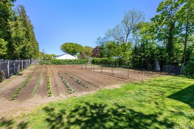 Wonderful Hamlet Business (HB) zoned property, in the heart of - photo 10