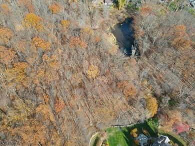 (private lake, pond, coastal) Acreage For Sale in Montville Twp. New Jersey